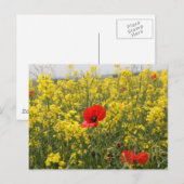 Carte Postale Poppy (Devant / Derrière)