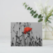 Carte Postale Poppy (Debout devant)