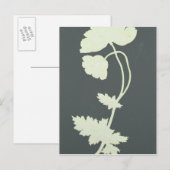 Carte Postale Poppy (Devant / Derrière)