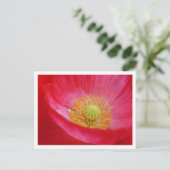 Carte postale Poppy (Debout devant)