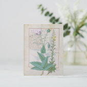 Carte Postale Poppy et Figwort (Debout devant)