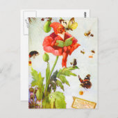 Carte Postale Poppy Gnome (Devant / Derrière)