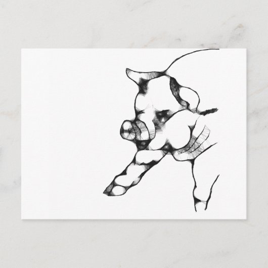 Carte Postale porc (Devant)