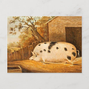 Carte Postale Porc tacheté Porc Vintage peinture d'art agricole
