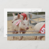 Carte Postale Porcelet rose numéro trois (Devant / Derrière)