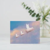 Carte Postale porcelets (Debout devant)