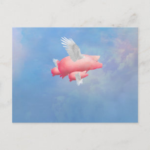 Carte Postale Porcelets volants