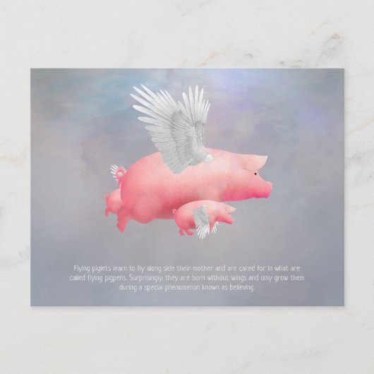 Carte Postale Porcelets volants (Devant)