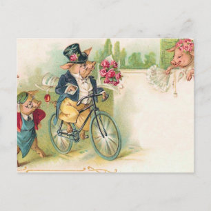 Carte Postale Porcs Romantiques