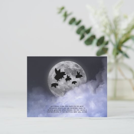 Carte Postale Porcs volants néocturnes (Debout devant)