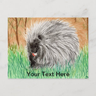 Carte Postale Porcupine