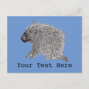 Carte Postale Porcupine
