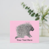 Carte Postale Porcupine (Debout devant)