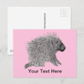 Carte Postale Porcupine (Devant / Derrière)