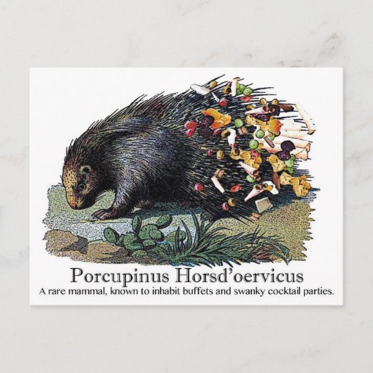 Carte Postale Porcupinus Hoerd'oervicus (Devant)