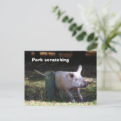 Carte postale 'Pork scratching' (Debout devant)