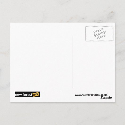 Carte postale 'Pork scratching' (Dos)