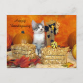 Carte postale Porkchop de poste / Kitten (Devant)