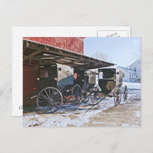 Carte Postale Port Amish Buggy (Devant / Derrière)