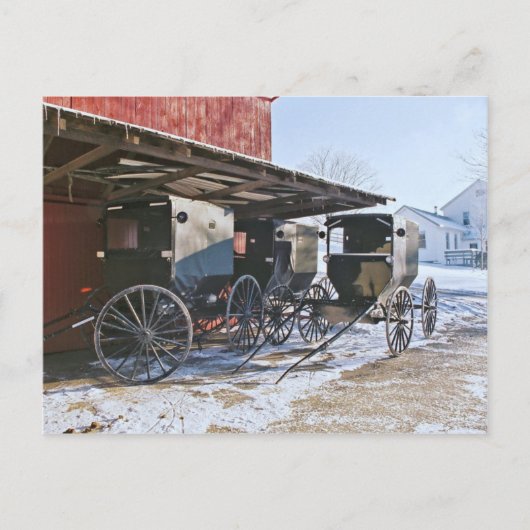 Carte Postale Port Amish Buggy (Devant)