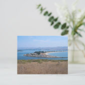 Carte Postale Port de Bodega et parc Doran (Debout devant)