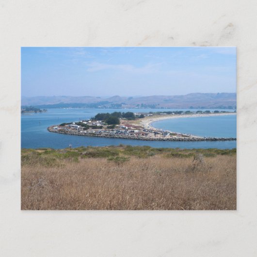 Carte Postale Port de Bodega et parc Doran (Devant)
