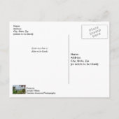 Carte Postale Port de Charleston (Dos)