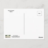 Carte Postale Port de Cozumel Mexique (Dos)