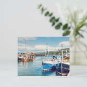 Carte Postale Port de Mallaig (Debout devant)