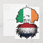 Carte Postale Port de Netherlands (Devant / Derrière)