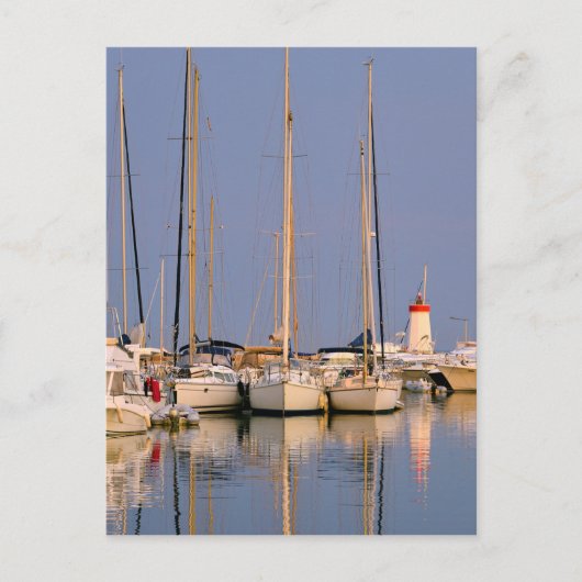 Carte Postale Port d'Hyères les Palmiers (Devant)