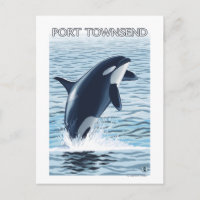 Port Townsend, Washington Orca Jumping