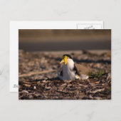 Carte Postale Portable masqué (Devant / Derrière)