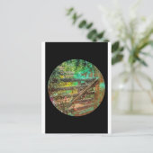 Carte Postale porte (Debout devant)