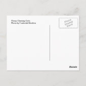 Carte Postale Porte à mâcher du mouton (Dos)