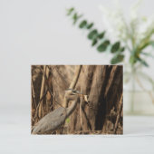 CARTE POSTALE PORTE À MANGER BLUE HERON (Debout devant)