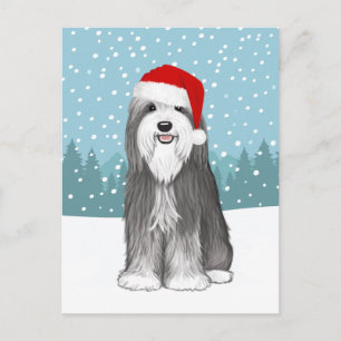 Carte Postale Porté Collie Holiday mignon chien Noël personnalis