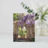 Carte Postale Porte de jardin (Debout devant)