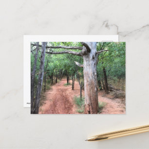 Carte postale Porte et sentier de la nature