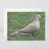 Carte postale Porte-monnaie (Devant / Derrière)