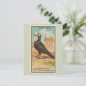 Carte Postale Porte Pigeon (Debout devant)