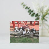 Carte Postale Portée de Cavalier King Charles Spaniel (Debout devant)