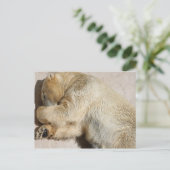 Carte Postale porter (Debout devant)