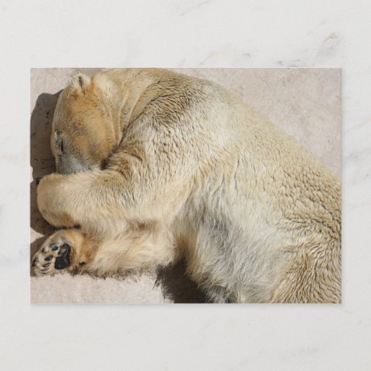 Carte Postale porter (Devant)