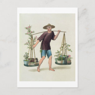 Carte Postale Porter avec Fruits et Fleurs, assiette 16 fr