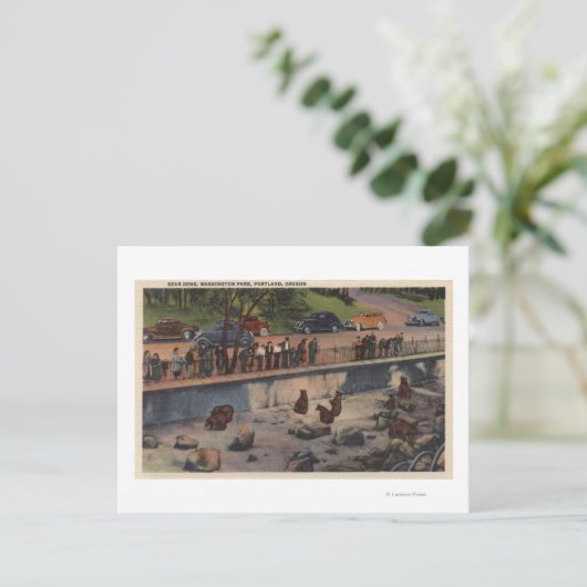 Carte Postale Portland, ORBear Dens à Washington Park (Debout devant)