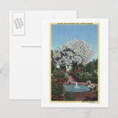 Carte Postale Portland, Oregon - Espagnol Pool et arbre fantôme (Devant / Derrière)