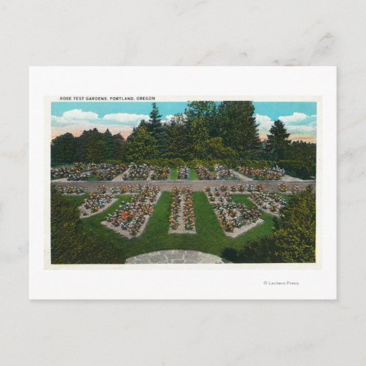 Carte Postale Portland, OregonVue des jardins d'essais Roses (Devant)