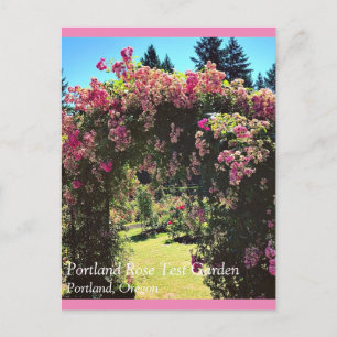 Carte Postale Portland Rose Garden