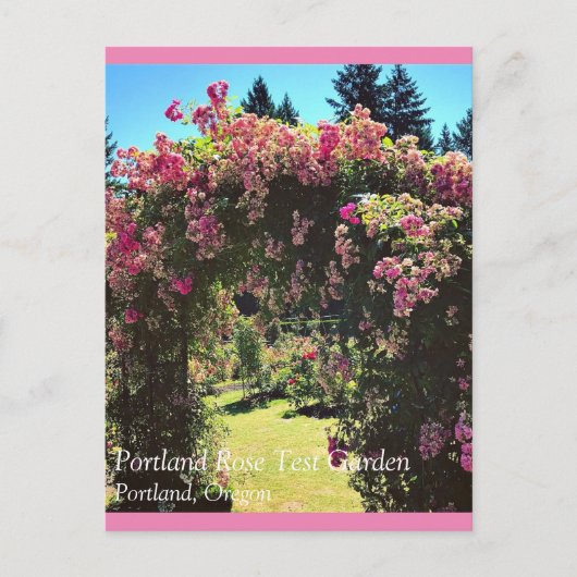 Carte Postale Portland Rose Garden (Devant)